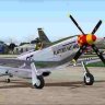 AlphaSim P-51D "Plastered Bastard".zip