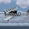 Armstrong Whitworth Siskin Paint Pack.zip