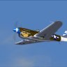 IRIS P-40N Repaint flown by 1st Lt. Jack A Fenimor.zip