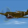 IRIS P-40E repaint China Air Task Force 23rd FS.zip