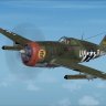 WOP P-47D-22 UNB Capt. Hart.zip