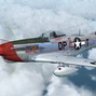 P-51D 4th FG/ 334th FS QP-T "Helen".zip