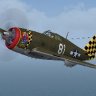 WoP P-47D-16-RE "Dallas Blonde".zip