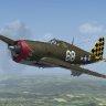 WoP P-47D-16-RE "Cherry Mary/Spirit of DeSoto Coun.zip