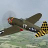 WoP P-47D-6-RE #17 Checkertail Clan.zip