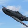 FS2004 Wozza P-51D KNIL.zip