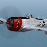 WoP P-47D-30-RA "Duck-Butt".zip