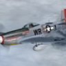 P-51D 355th FG/354th FS WR-Y "Dragon Wagon".zip