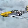 P-51D 371th FG/ 376th FS E9-D "Golden Wave".zip