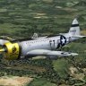 Alpha P-47D Thunderbolt Dahlberg.zip