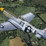 ALPHA P-51D Mustang Koenig.zip