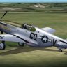 Fdg2_P-51B_355th