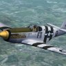 Fdg2 P51B MH Rogers