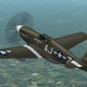 Fdg2_P-51B_Miller