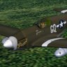 Fdg2_P-51B_Talbot