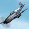 AI Fdg2 P-51B 355th