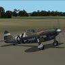 "Complete" Milton’s and Co. Republic XP-47J for CFS2.zip