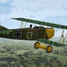 Fokker DVII - Jasta 10 - Offz-Stv Paul Aue