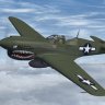 Flight Replica P-40N Warhawk (NL540TP)