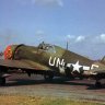 WoP P-47 56th Fighter Group Repaints.zip