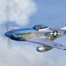 P-51D Photoreal repaint "Moonbeam McSwine".zip