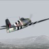 FAA_F6F-5_skin_pack.zip