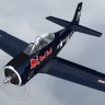 North American T-28B Trojan 'Flying Bulls' OE-ESA