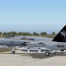VFA-131 Wildcat F-18 skins.zip
