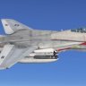 IRIS F-14A VF-1 "Wolfpack" Squadron repaint.zip