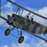 FSX_Polikarpov_PO-2_Finland