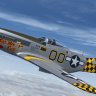 Warbirdsim P-51D Mustang Boo-Man Choo