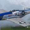 Warbirdsim P-51D Mustang Hell-er Bust