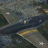 Warbirdsims_P51B_Eva_Lee