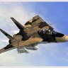 BananaBob's Dirty textures for an IRIAF F-14 for the IRIS F-14.zip