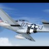 P-51D Mustang "Worry Bird" N951M.zip