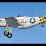 P-51D Mustang "Nervous Energy V".zip