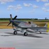 WWII Fighters P-51 Hell-er-bust_with_fix.zip