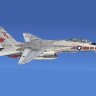 FSX F-14D Tomcat - VF-1 Wolfpack repaint.zip