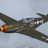 FSX_Warbirdsims_P-51D-5-NA_Little_Friends_Fillet Bk's_Battle_Buggy