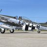 P-51D Mustang "Geraldine".zip