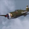 WoP-WWIIF P-47D-15-RE "Little Chief - Anderson India.zip