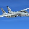 Aerososft F-14 VF-101 Low Viz