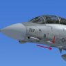 Aerosoft F-14 Paint Model Corrections