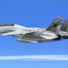 Aerososft F-14 VF-201 LV TARPS