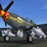 WWII Fighters P-51 Passion Wagon_with_fix.zip