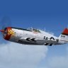 WoP-WWII F. P-47D-23-RA "Carol Ann II".zip