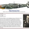 Bf-109 Major Hermann Graf.zip