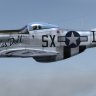 A2A North American P-51D 353rd FG SX-I "Dallas Doll"