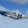 WarbirdSim P-51B-10-NT 'The West 'by Gawd' Virginian.zip