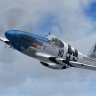 WarbirdSim P-51B-15-NA 'Starck Mad!'.zip